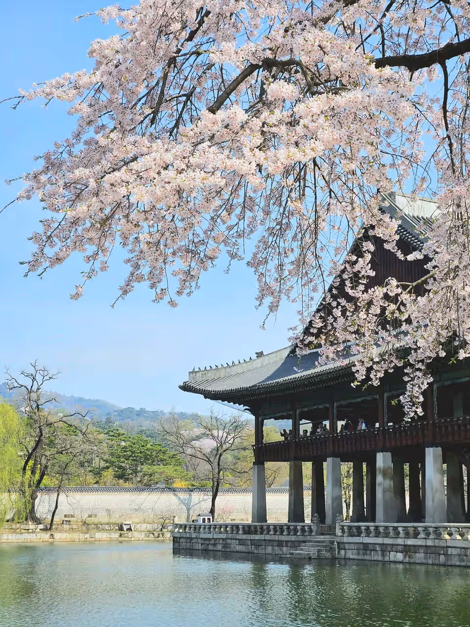 Jeonju y Andong · Corea del Sur