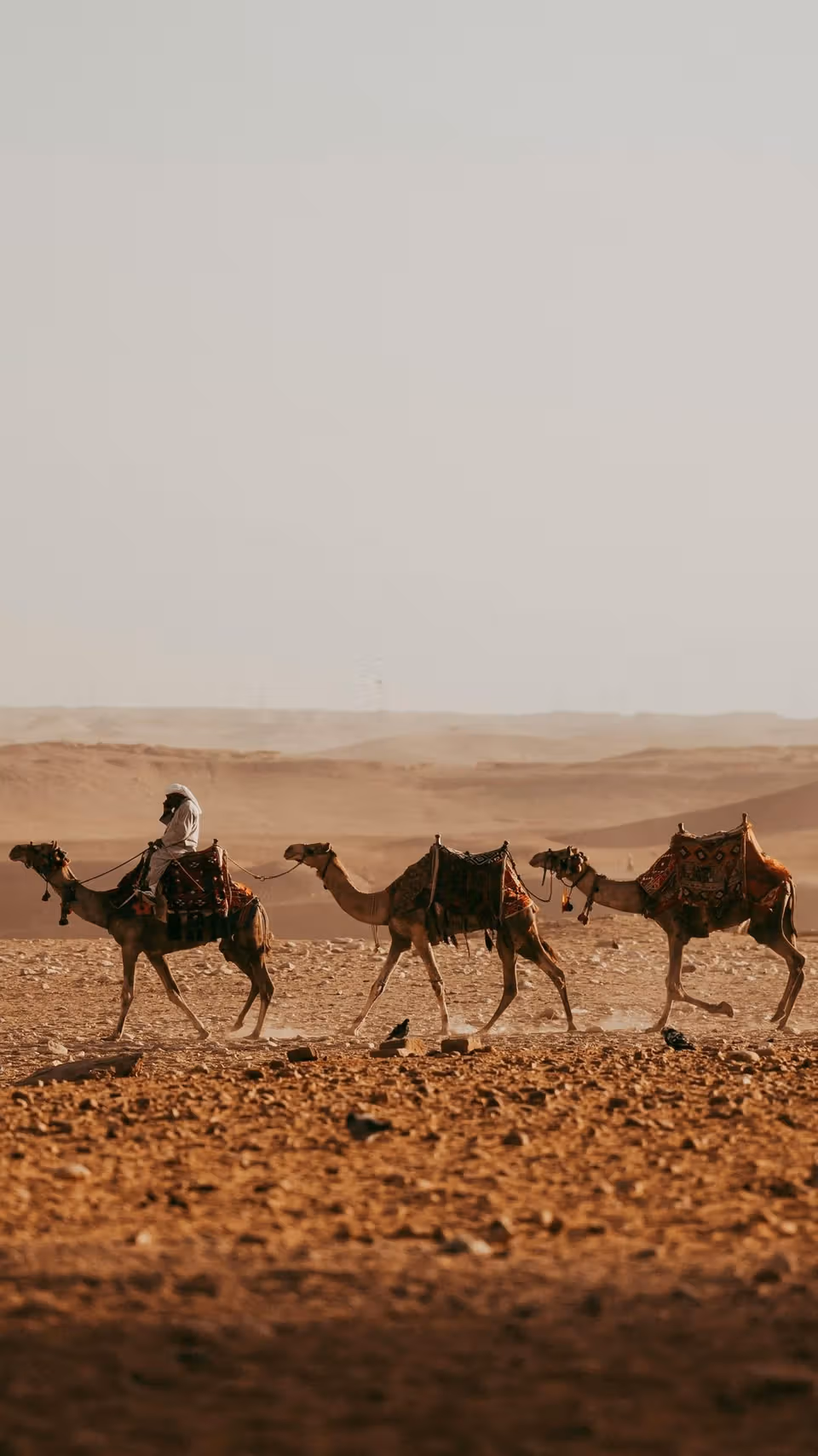 Sinaí & Dahab · Egipto