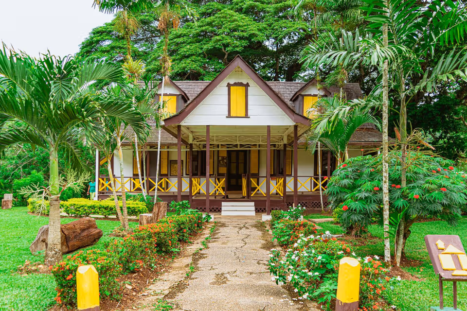 Blue Mountains · Jamaica