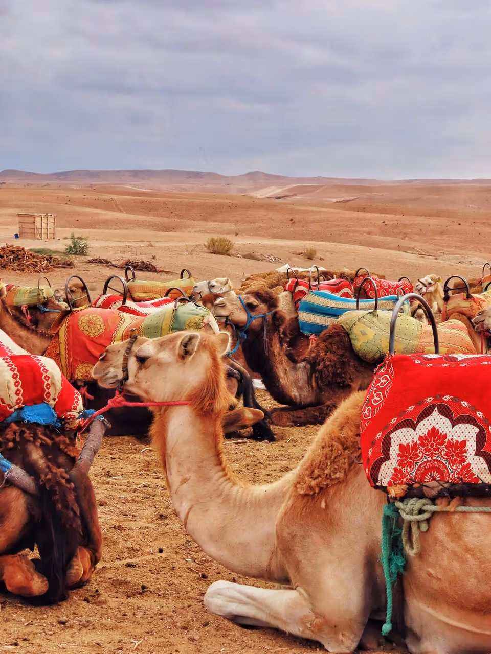 El Sahara y Merzouga · Marruecos